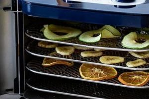 Food Dehydrator